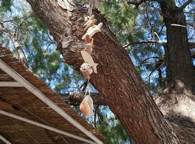 Semesterbostad Marina House