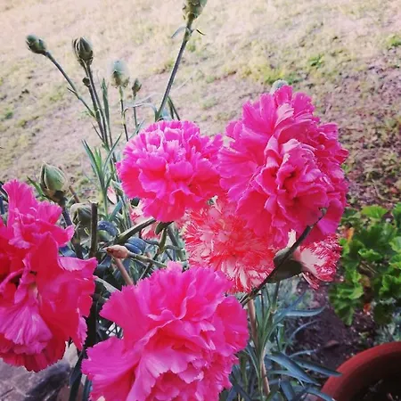 Marina House Case de vacanță Lardos