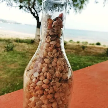 Case de vacanță Marina House