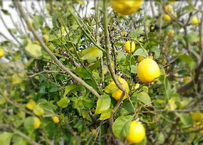 Marina House Casa de Férias