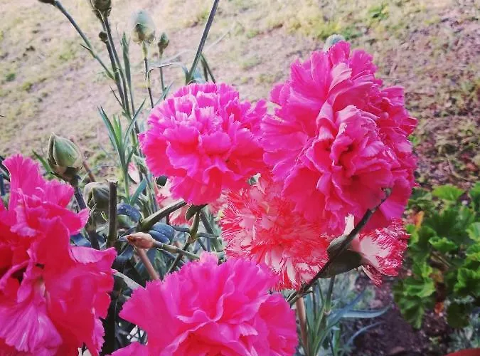 Marina House Casa de Férias Lardos