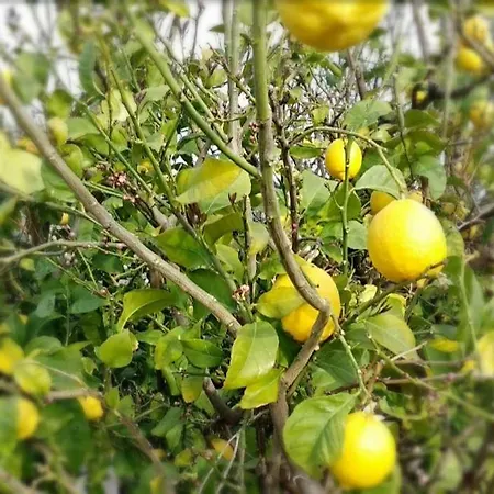 Marina House Ferienhaus