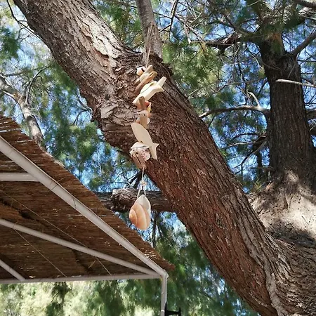 Ferienhaus Marina House